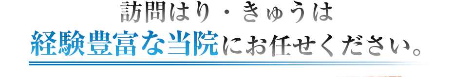 訪問はり・きゅうは経験豊富な当院にお任せください。